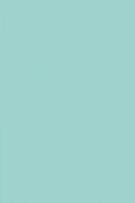 FARROW AND BALL BLUE GROUND NO. 210 PAINT